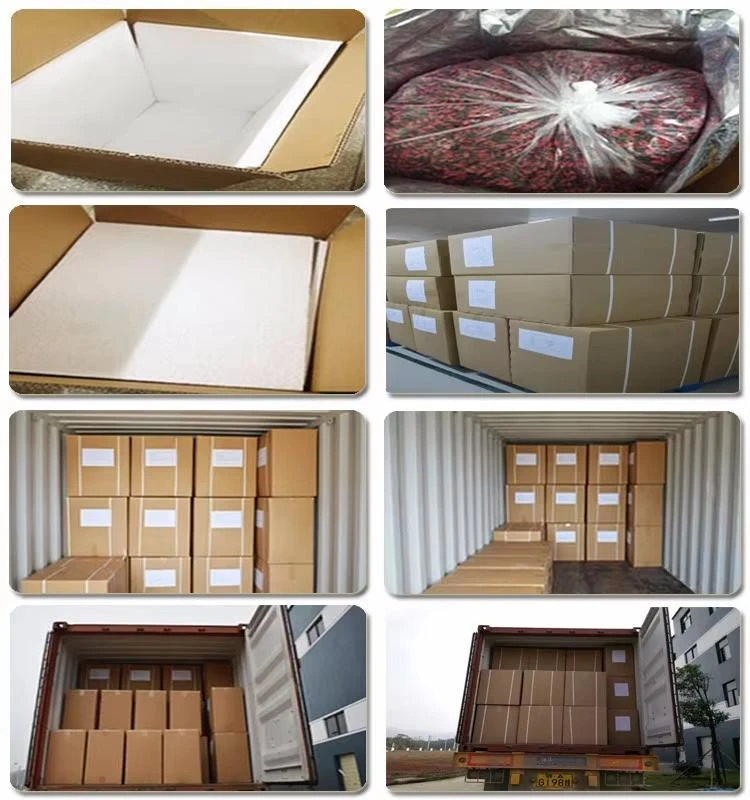 product-750-800 product-750-800